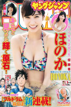 步步惊心原著